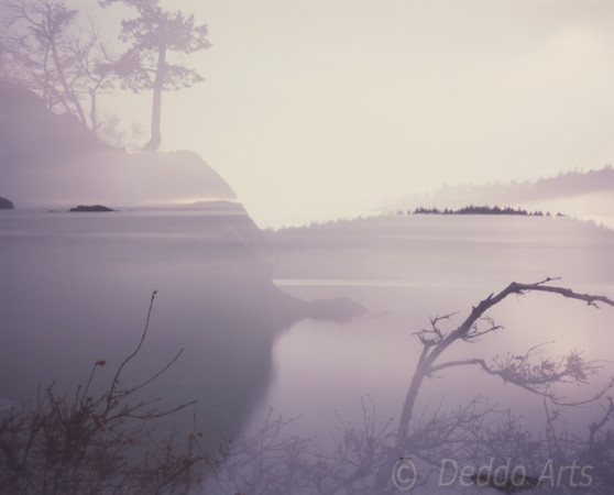 Ghost Coast
