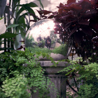 Conservatory Self Portrait