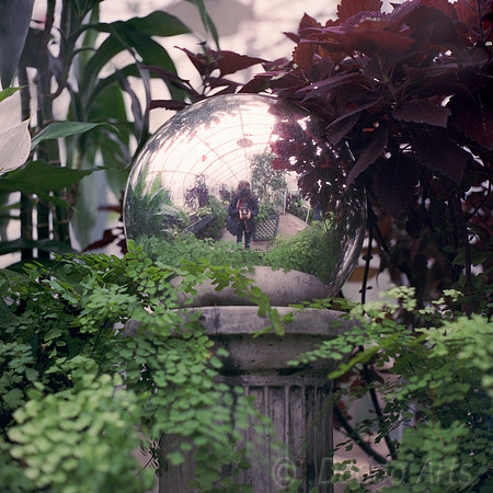 Conservatory Self Portrait
