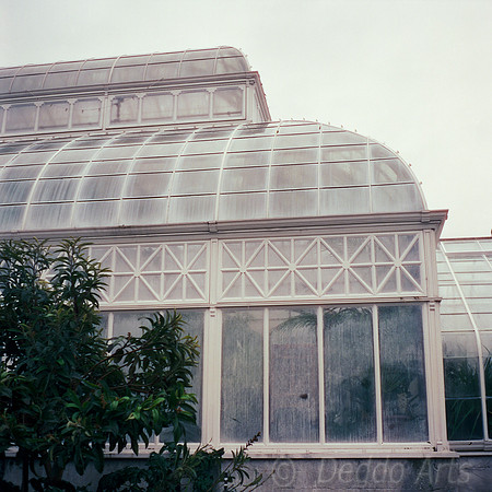 Volunteer Park Conservatory