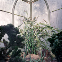 Humidity