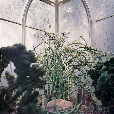 Humidity