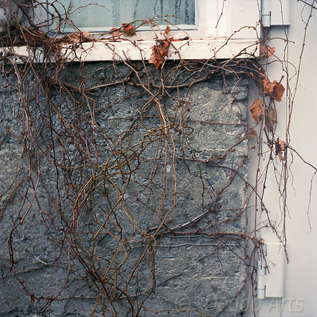 Outer Textures
