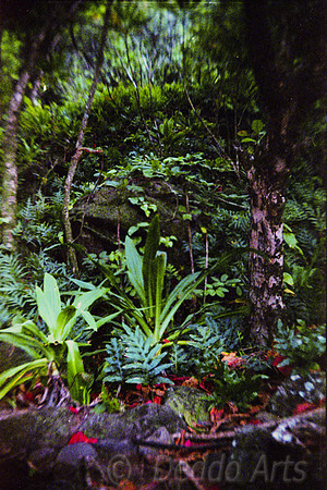 Kalalau Trail