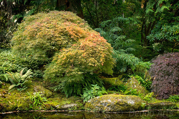 Bloedel Japanese Gardens 02