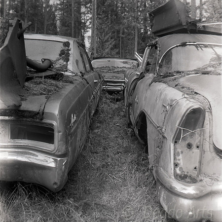 Moss Yard 03