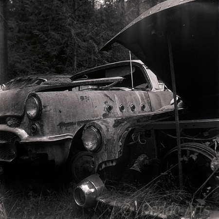 Moss Yard 06
