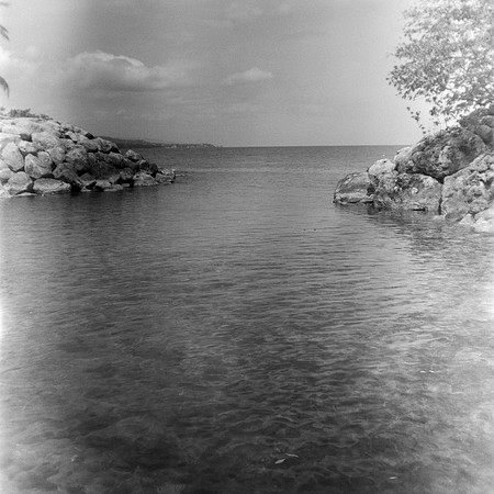 Snorkeler's Cove
