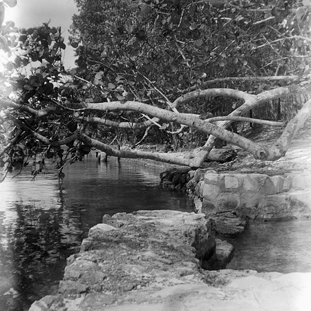 Button Beach Natural Spa