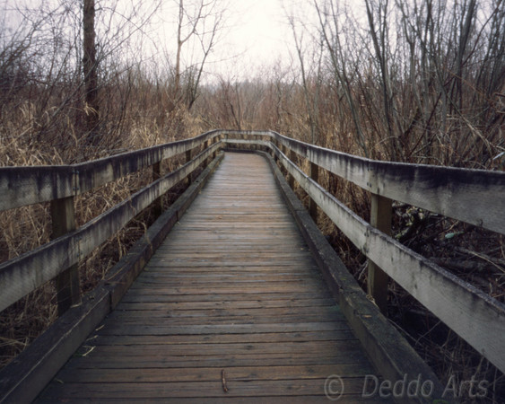 Winter Boardwalk