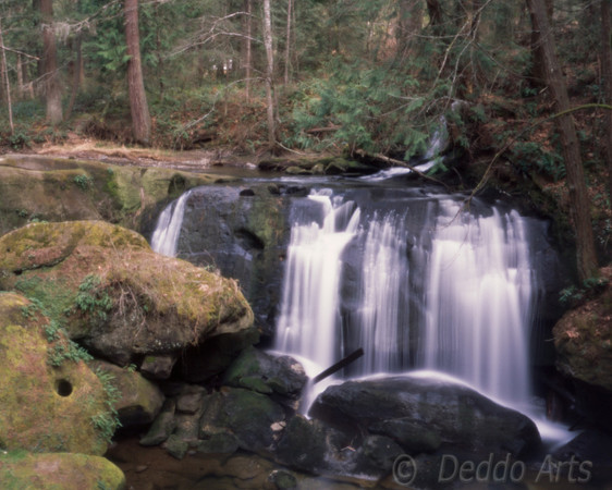Whatcom Falls