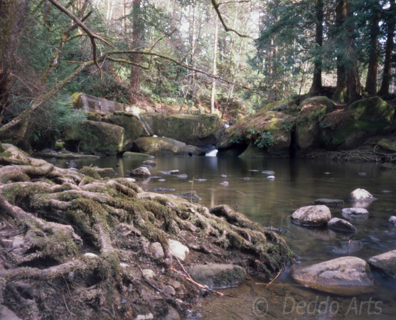 Whatcom Creek